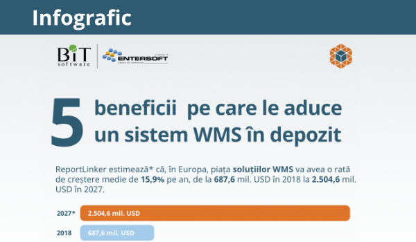 5 beneficii WMS in depozit