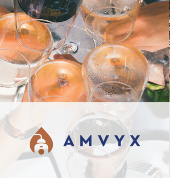Amvyx - Studiu de caz Entersoft Business Suite