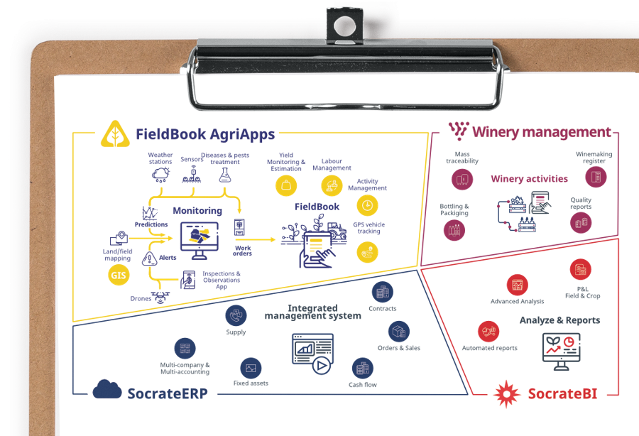 Specialized software solutions for wine industry 