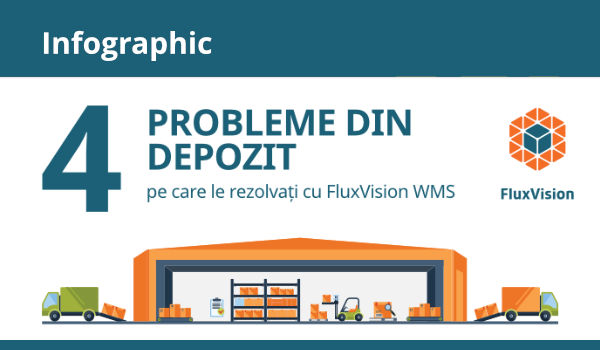 Infographic - 4 probleme din depozit care se rezolvă cu FluxVision WMS