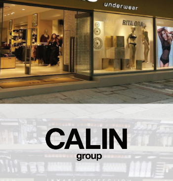 CALIN - Studiu de caz Entersoft Business Suite