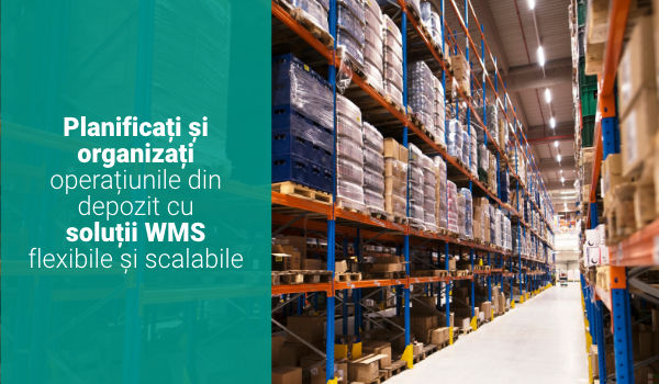 e-book flexible and scalable WMS solutions Solutii WMS flexibile si scalabile