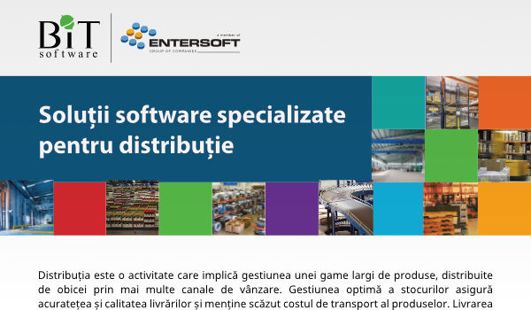 Company profile BITSoftware